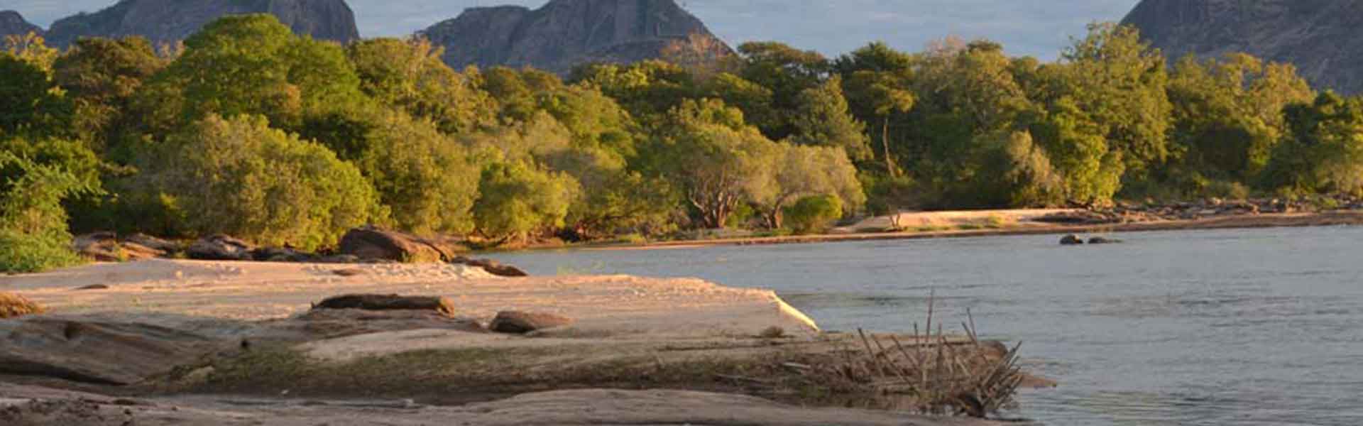 Programa De Conservação Da Biodiversidade